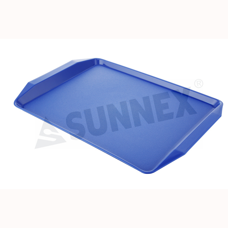 Apud Ezechielem, Latere et Handles IV PP ieiunium cibum Tray Colores